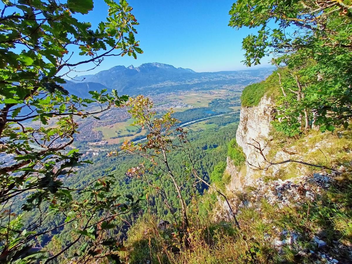 Le Calme A 5 Mn Du Centre Ville - La Lisiere T2 بونفيل المظهر الخارجي الصورة